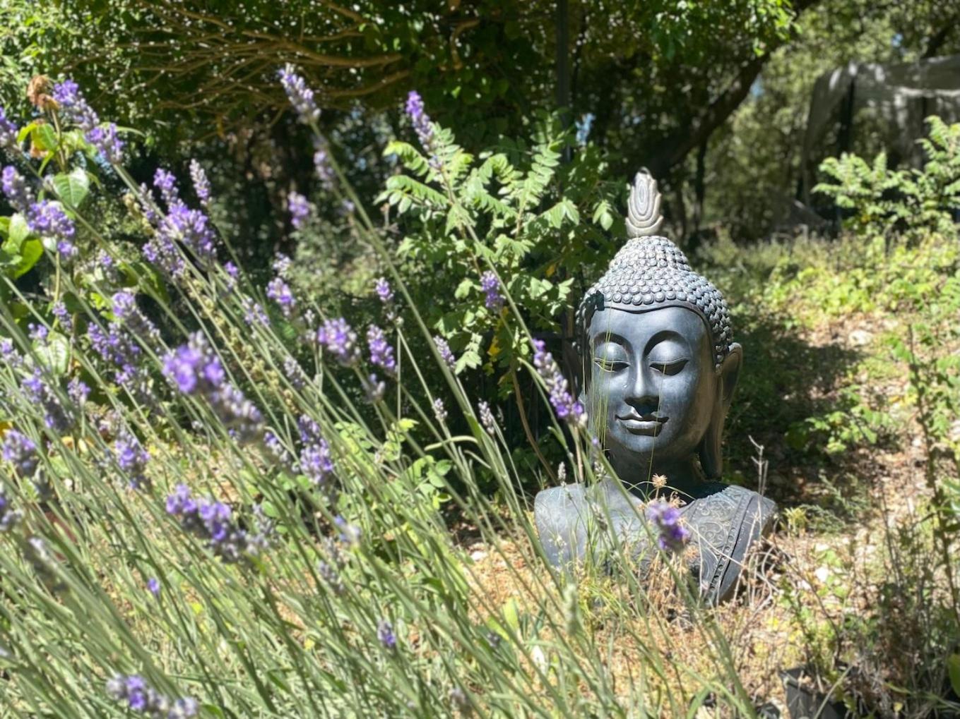 TourvesLa Vie Est Belle En Provence住宿加早餐旅馆 外观 照片